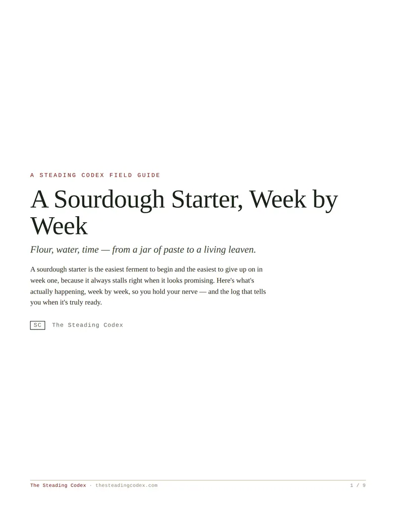 A Sourdough Starter, Week by Week