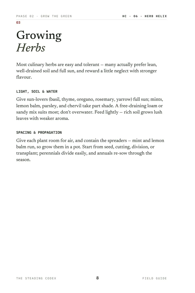 Herb Helix interior sample 3