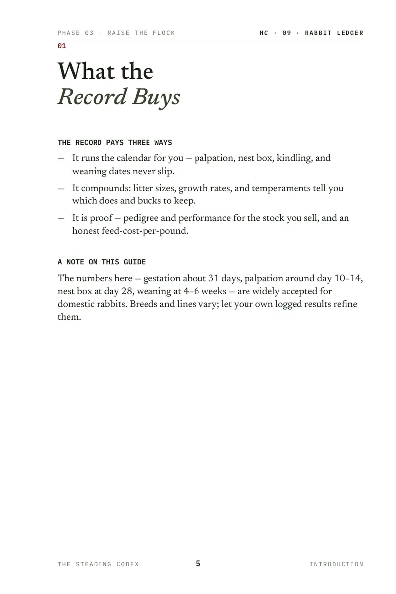 Rabbit Ledger interior sample 2