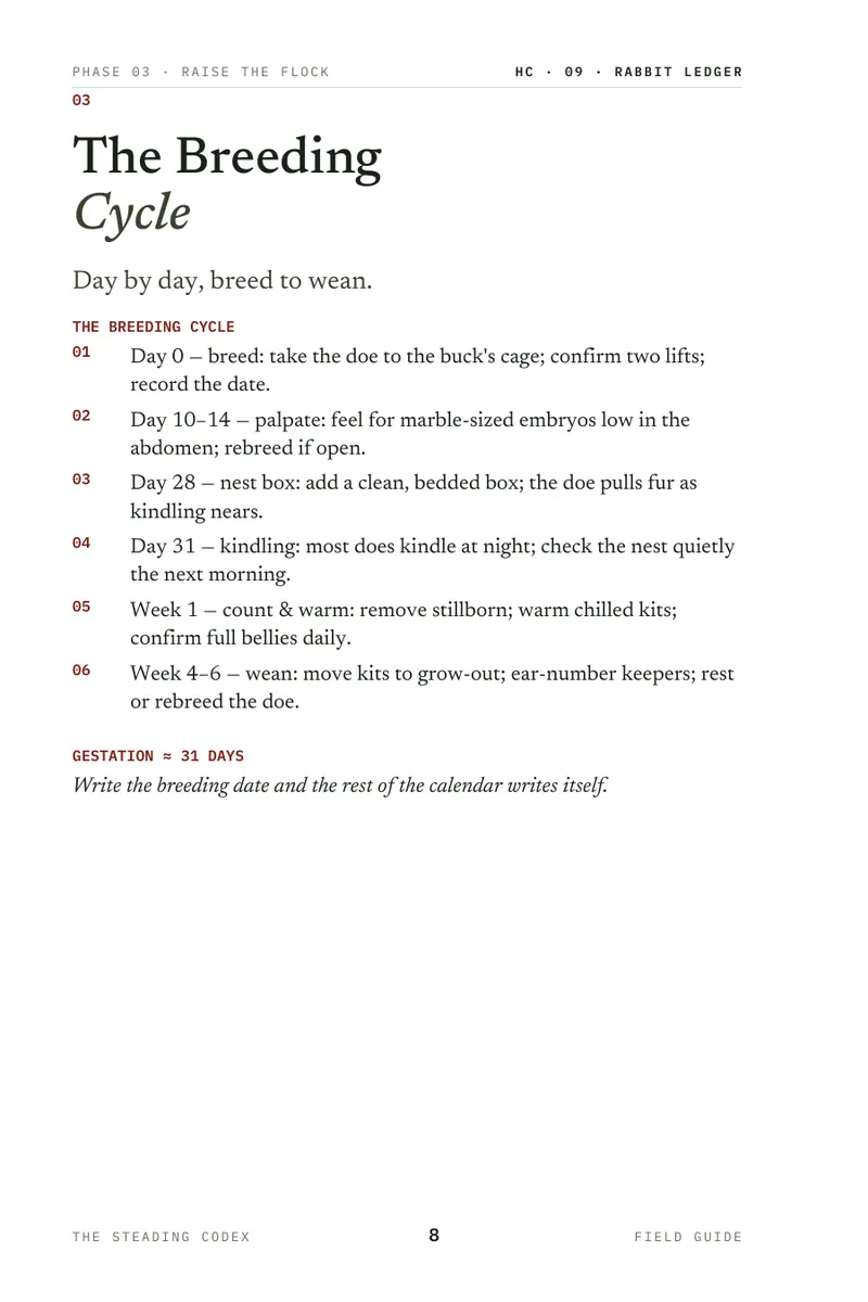 Rabbit Ledger interior sample 3