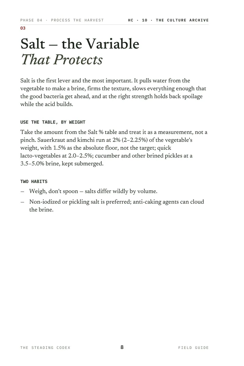 The Culture Archive interior sample 3