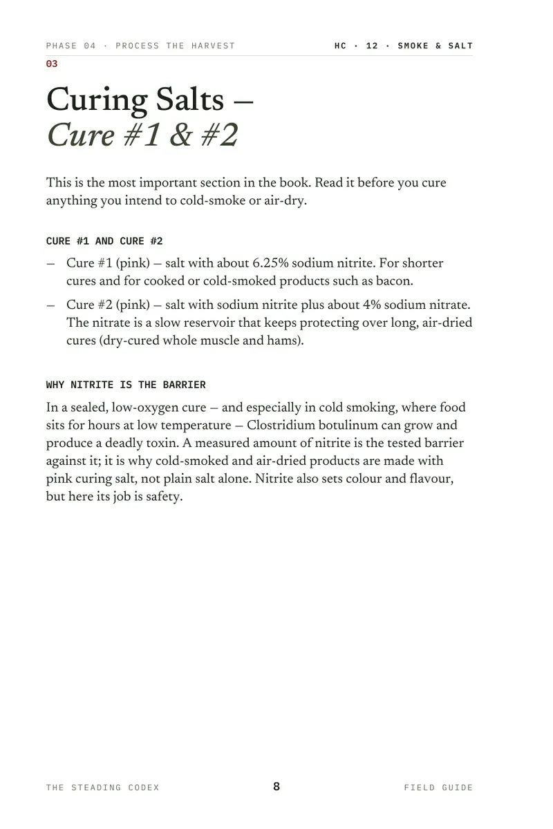 Smoke & Salt interior sample