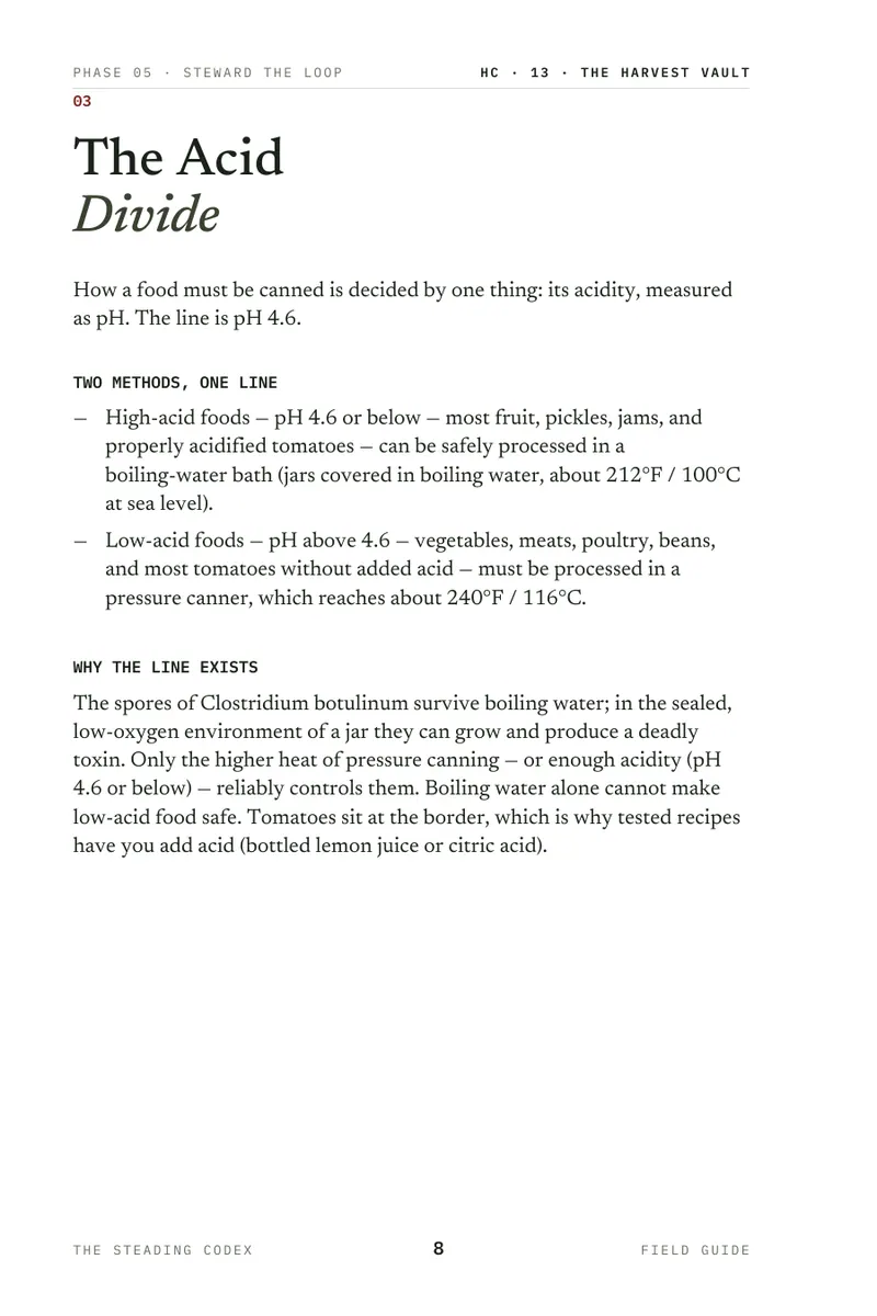The Harvest Vault interior sample 3