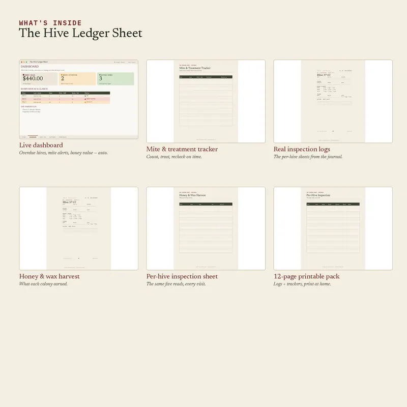Inside The Hive Ledger Sheet