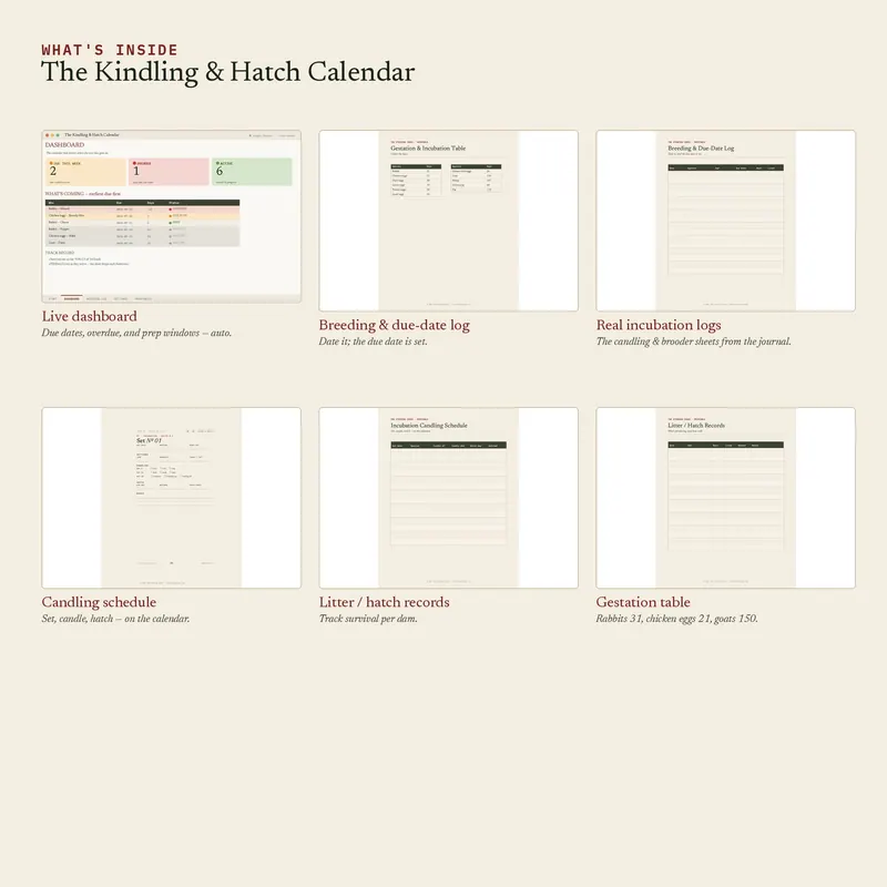 Inside The Kindling & Hatch Calendar