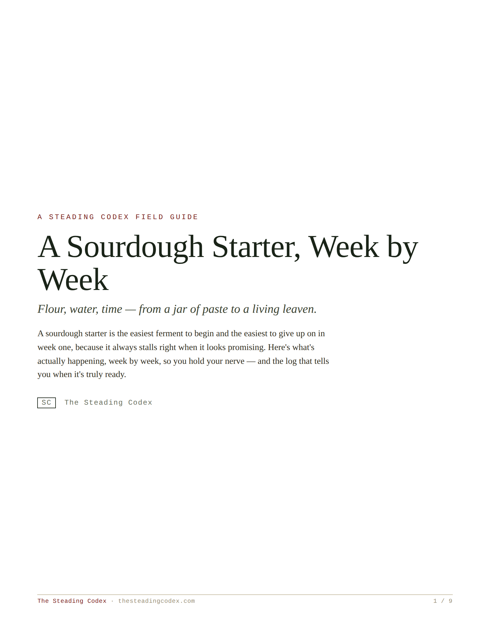 A Sourdough Starter, Week by Week