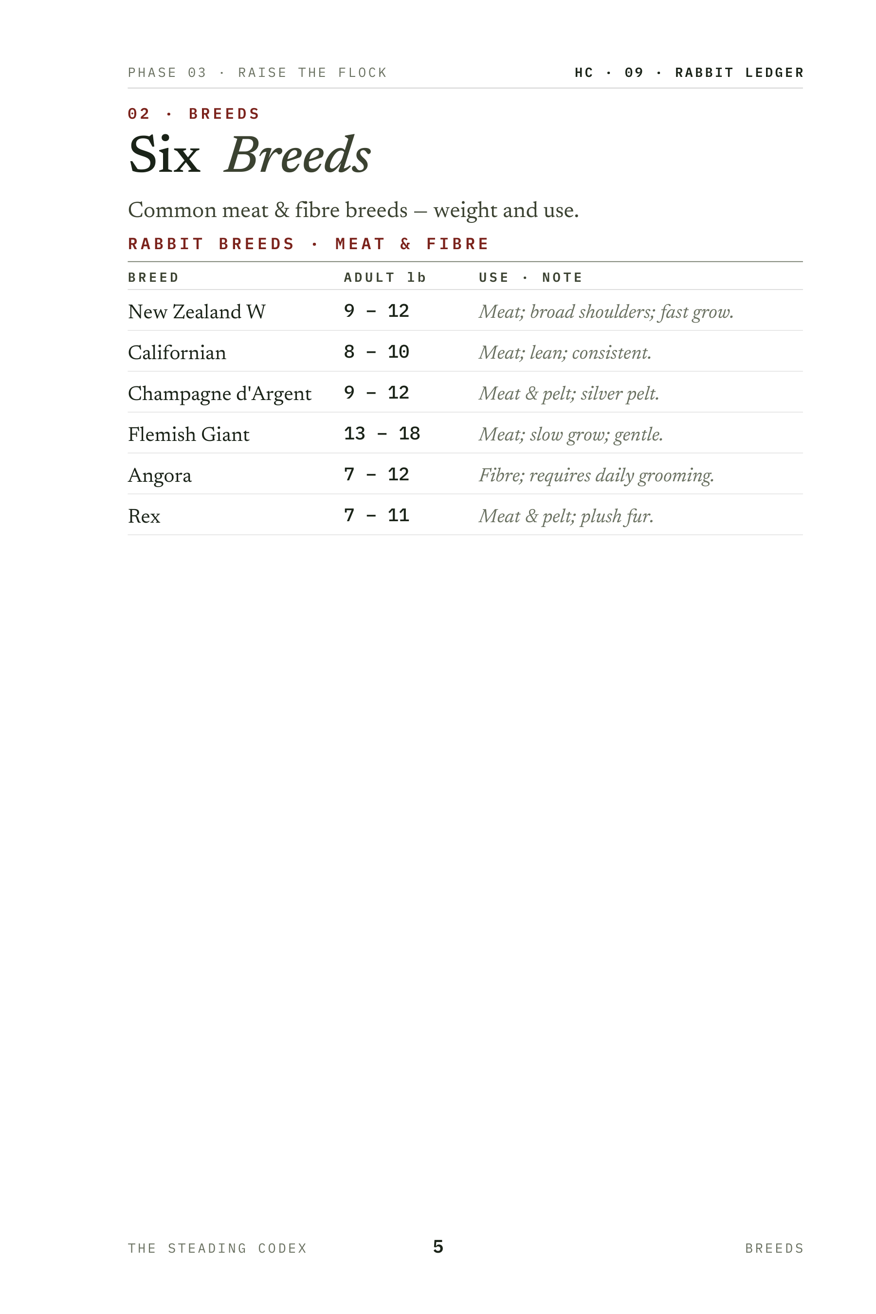 Rabbit Ledger interior sample 2