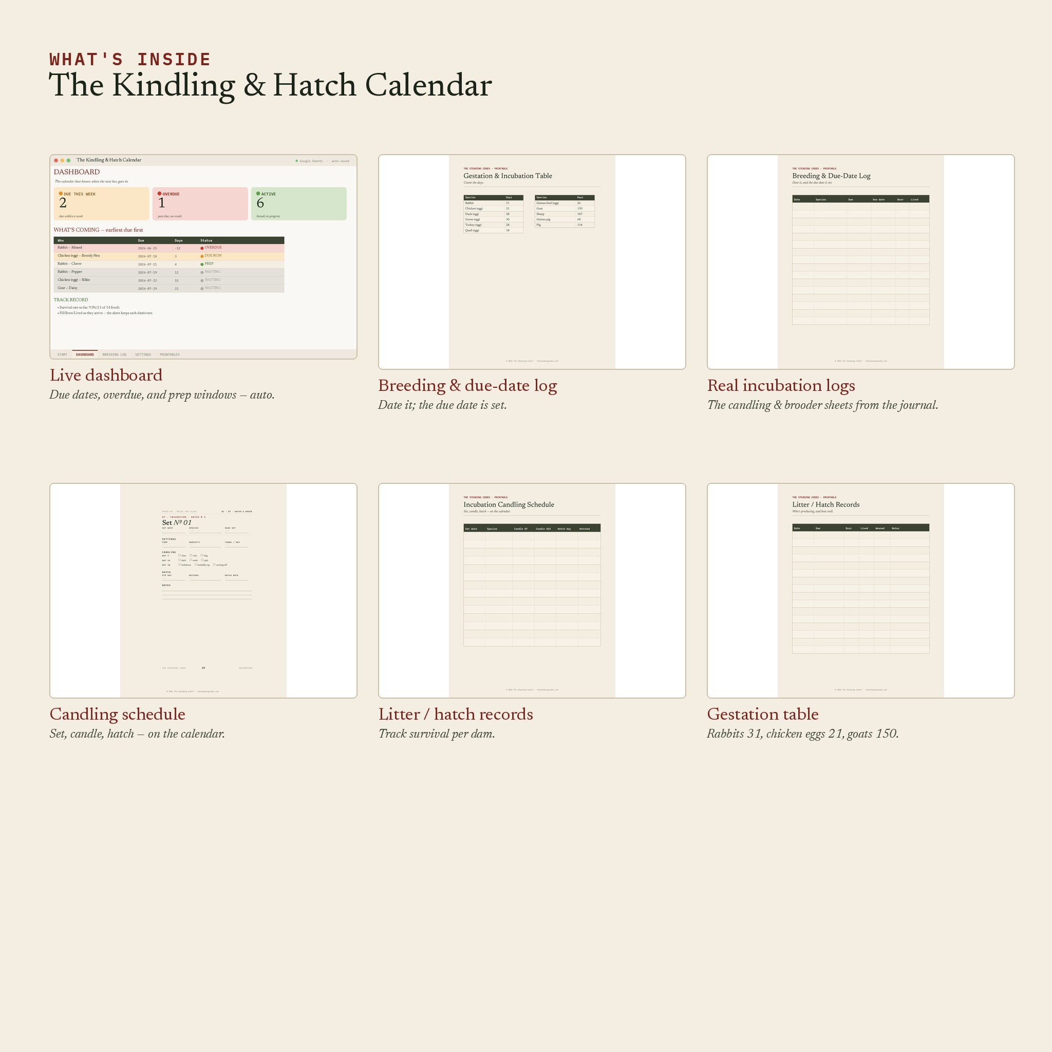 Inside The Kindling & Hatch Calendar